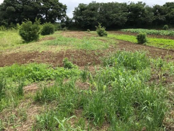 A17c9aaa61e80a1bf71d0d850af4e5baa9800bbd