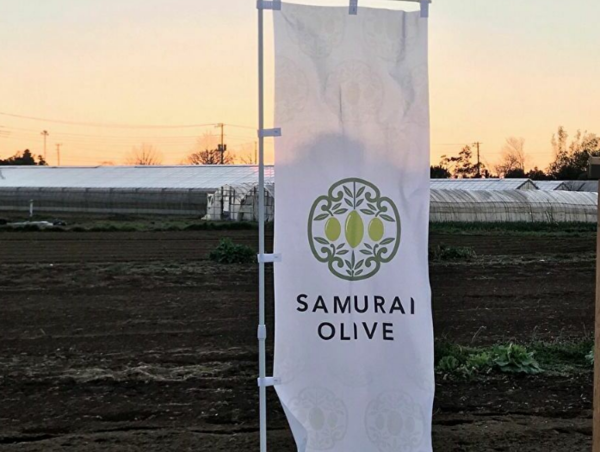 A17c9aaa61e80a1bf71d0d850af4e5baa9800bbd