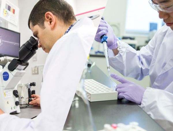 A17c9aaa61e80a1bf71d0d850af4e5baa9800bbd