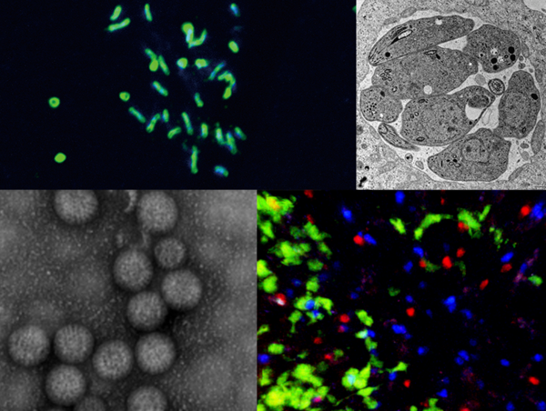 A17c9aaa61e80a1bf71d0d850af4e5baa9800bbd