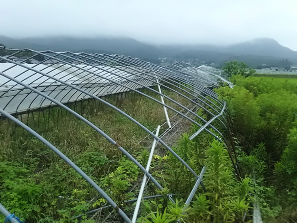 A17c9aaa61e80a1bf71d0d850af4e5baa9800bbd