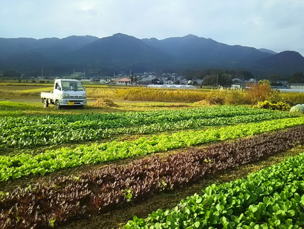 A17c9aaa61e80a1bf71d0d850af4e5baa9800bbd