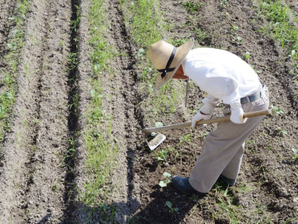 A17c9aaa61e80a1bf71d0d850af4e5baa9800bbd