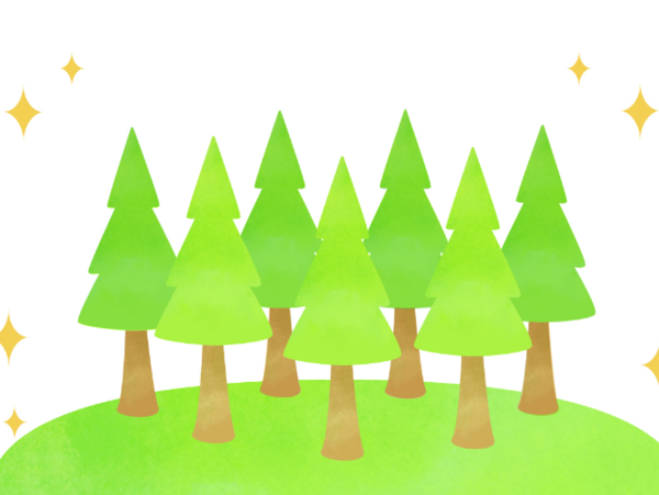 人工林の適正な伐採で健やかな森へ