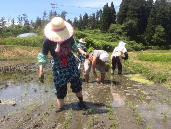 A17c9aaa61e80a1bf71d0d850af4e5baa9800bbd