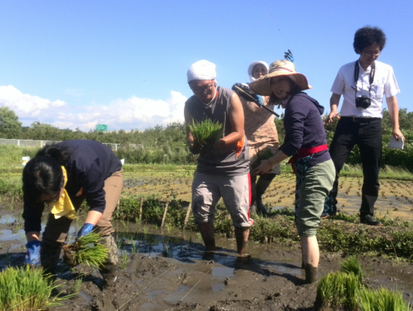 A17c9aaa61e80a1bf71d0d850af4e5baa9800bbd