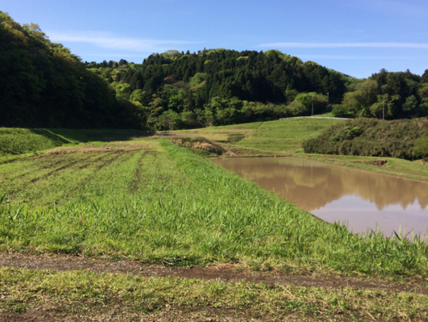 A17c9aaa61e80a1bf71d0d850af4e5baa9800bbd