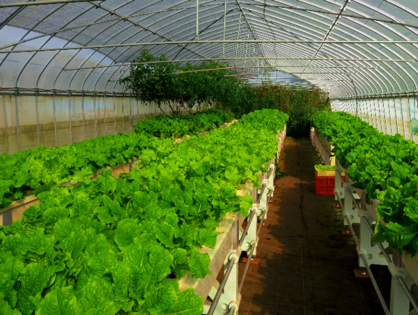 A17c9aaa61e80a1bf71d0d850af4e5baa9800bbd