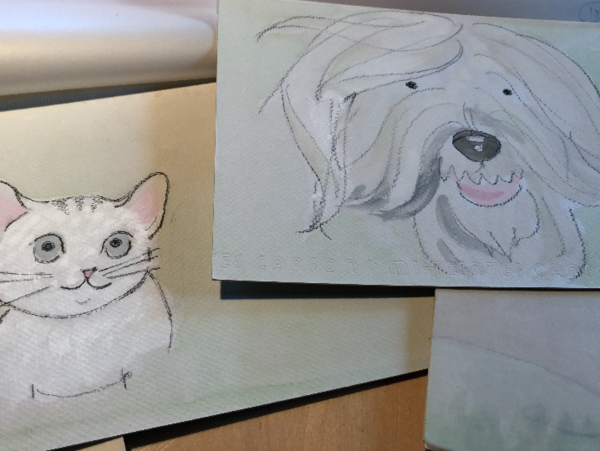 A17c9aaa61e80a1bf71d0d850af4e5baa9800bbd