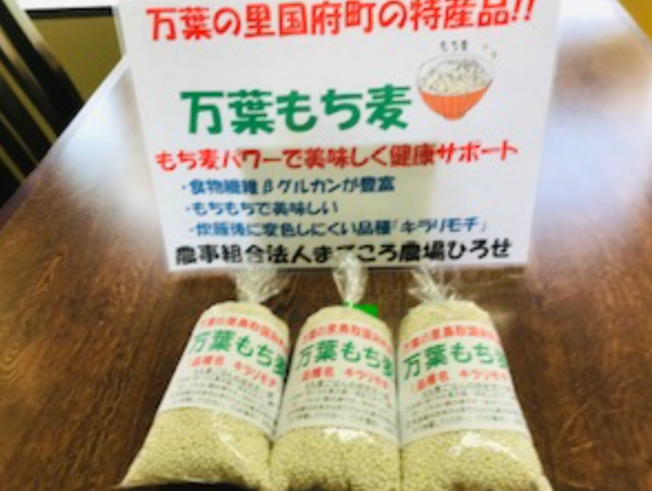 A17c9aaa61e80a1bf71d0d850af4e5baa9800bbd