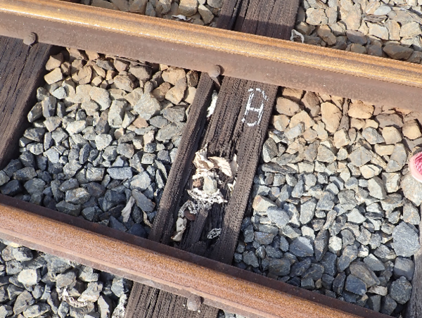 A17c9aaa61e80a1bf71d0d850af4e5baa9800bbd