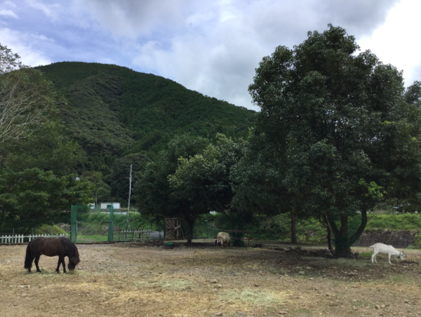 A17c9aaa61e80a1bf71d0d850af4e5baa9800bbd