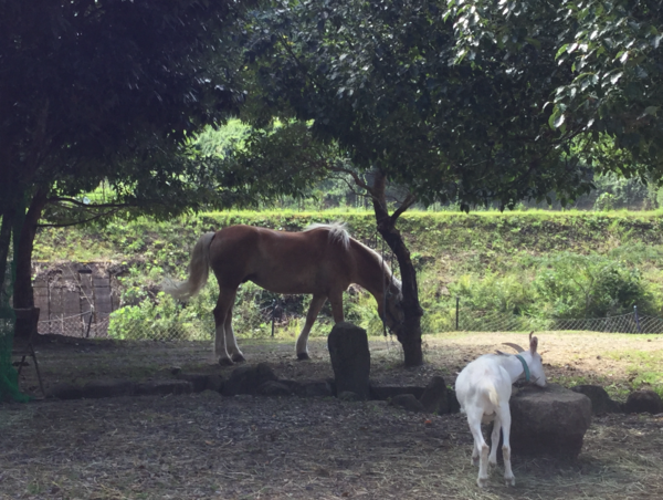 A17c9aaa61e80a1bf71d0d850af4e5baa9800bbd