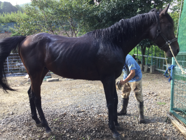 A17c9aaa61e80a1bf71d0d850af4e5baa9800bbd