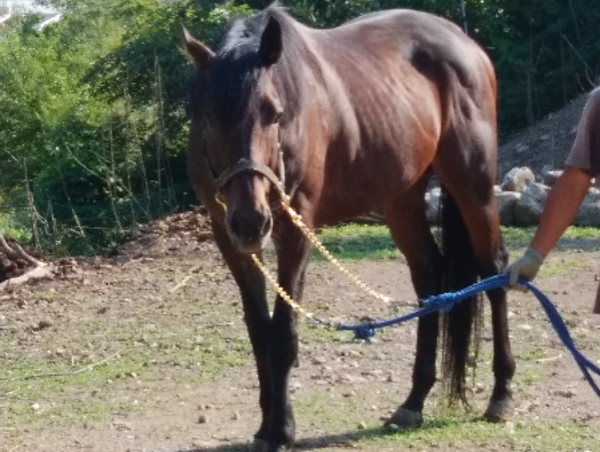 A17c9aaa61e80a1bf71d0d850af4e5baa9800bbd