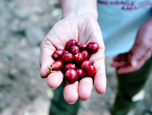 A17c9aaa61e80a1bf71d0d850af4e5baa9800bbd