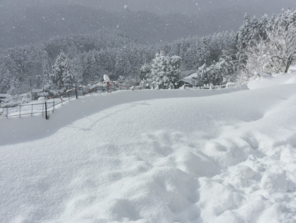 A17c9aaa61e80a1bf71d0d850af4e5baa9800bbd