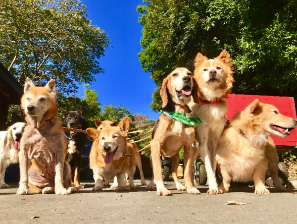 A17c9aaa61e80a1bf71d0d850af4e5baa9800bbd