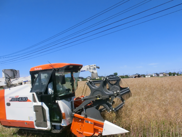 A17c9aaa61e80a1bf71d0d850af4e5baa9800bbd