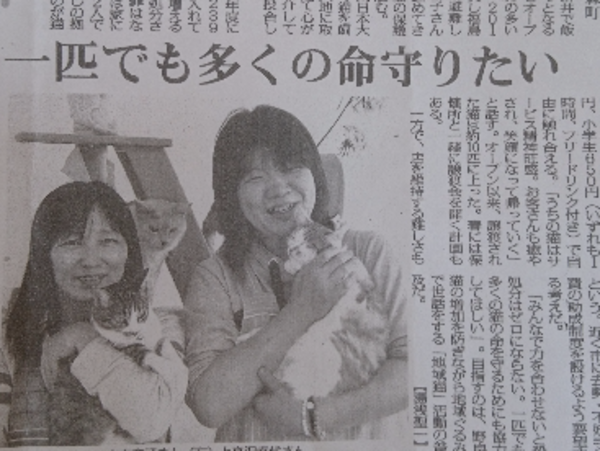 A17c9aaa61e80a1bf71d0d850af4e5baa9800bbd