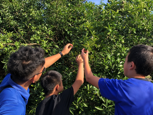 A17c9aaa61e80a1bf71d0d850af4e5baa9800bbd