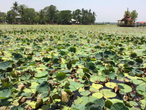 A17c9aaa61e80a1bf71d0d850af4e5baa9800bbd