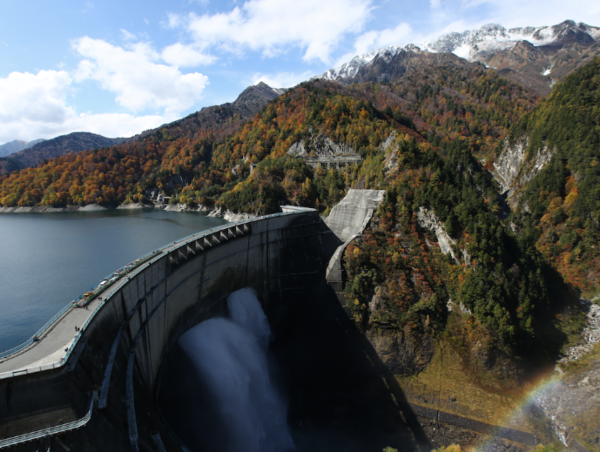 A17c9aaa61e80a1bf71d0d850af4e5baa9800bbd