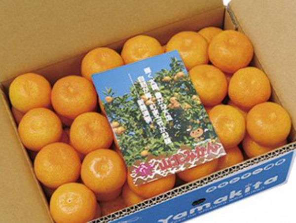 A17c9aaa61e80a1bf71d0d850af4e5baa9800bbd