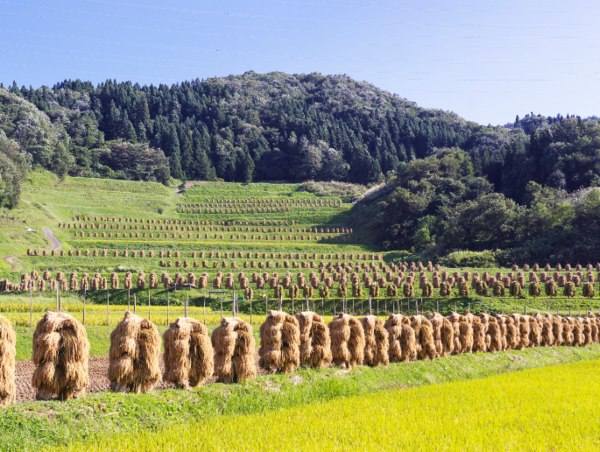 A17c9aaa61e80a1bf71d0d850af4e5baa9800bbd