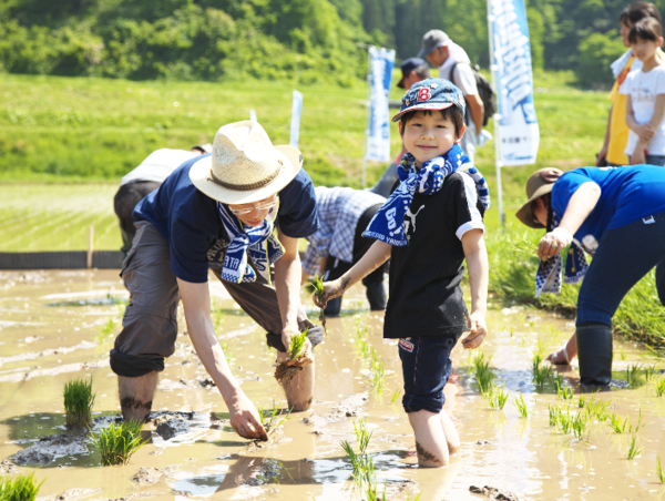 A17c9aaa61e80a1bf71d0d850af4e5baa9800bbd