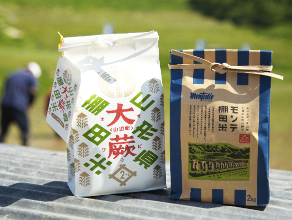 A17c9aaa61e80a1bf71d0d850af4e5baa9800bbd