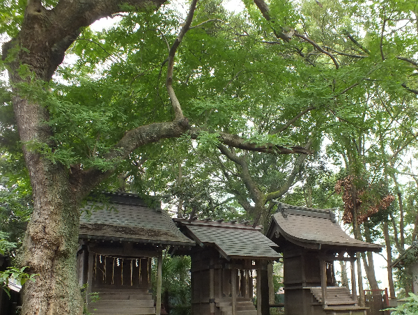 A17c9aaa61e80a1bf71d0d850af4e5baa9800bbd