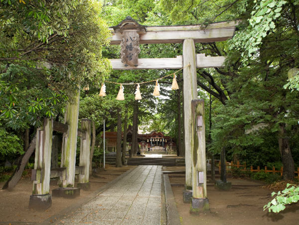 A17c9aaa61e80a1bf71d0d850af4e5baa9800bbd