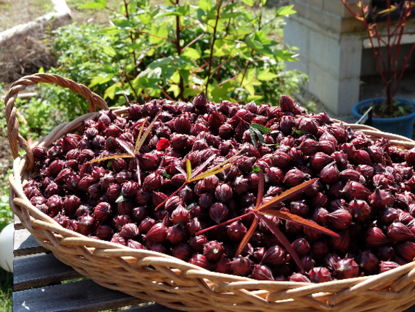 A17c9aaa61e80a1bf71d0d850af4e5baa9800bbd