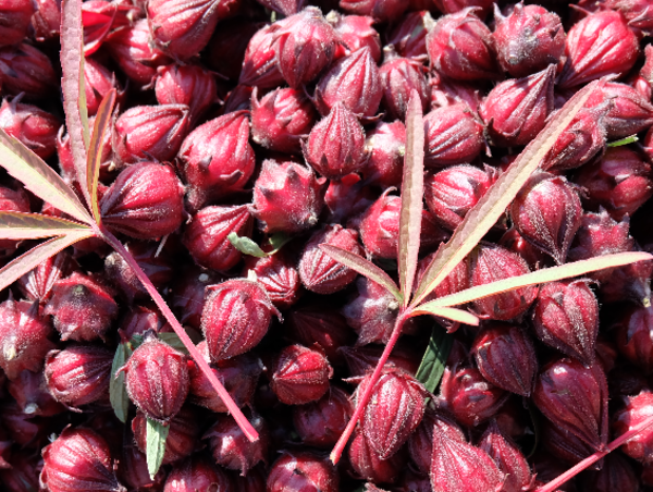 A17c9aaa61e80a1bf71d0d850af4e5baa9800bbd