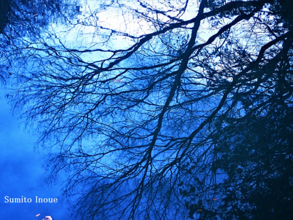 A17c9aaa61e80a1bf71d0d850af4e5baa9800bbd