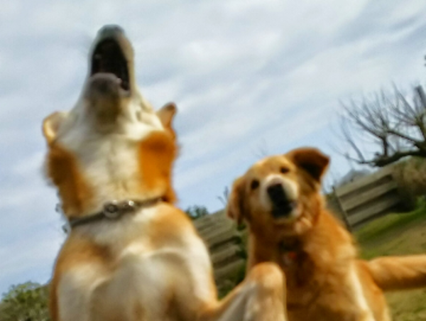 A17c9aaa61e80a1bf71d0d850af4e5baa9800bbd