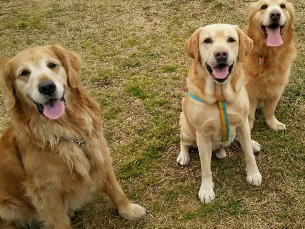 A17c9aaa61e80a1bf71d0d850af4e5baa9800bbd