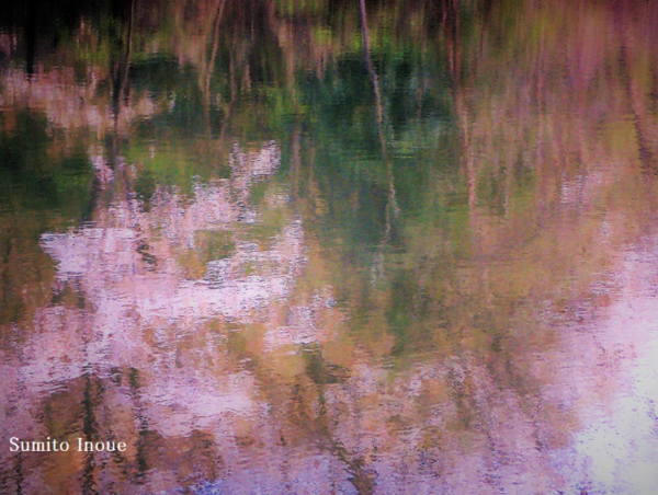 A17c9aaa61e80a1bf71d0d850af4e5baa9800bbd