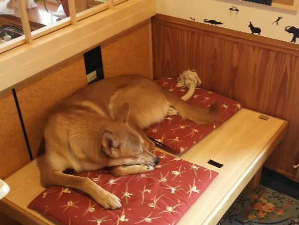 A17c9aaa61e80a1bf71d0d850af4e5baa9800bbd