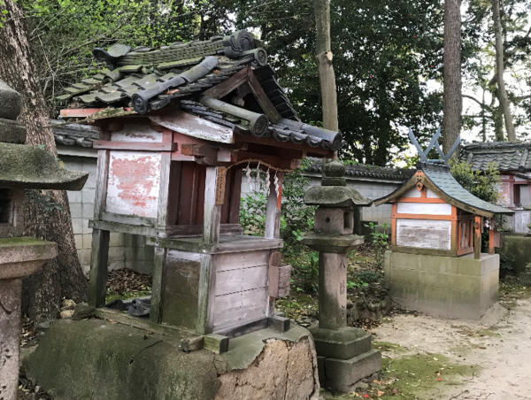 A17c9aaa61e80a1bf71d0d850af4e5baa9800bbd