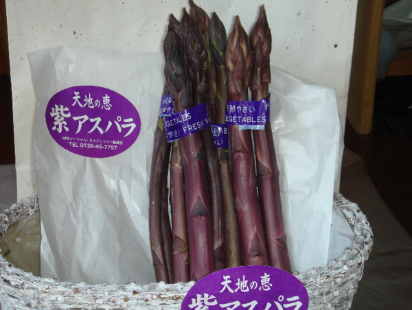 A17c9aaa61e80a1bf71d0d850af4e5baa9800bbd