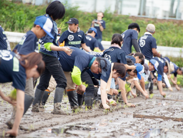 A17c9aaa61e80a1bf71d0d850af4e5baa9800bbd