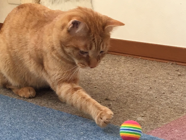 A17c9aaa61e80a1bf71d0d850af4e5baa9800bbd