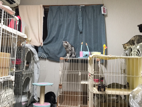 A17c9aaa61e80a1bf71d0d850af4e5baa9800bbd