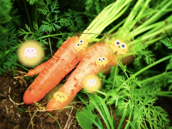 A17c9aaa61e80a1bf71d0d850af4e5baa9800bbd