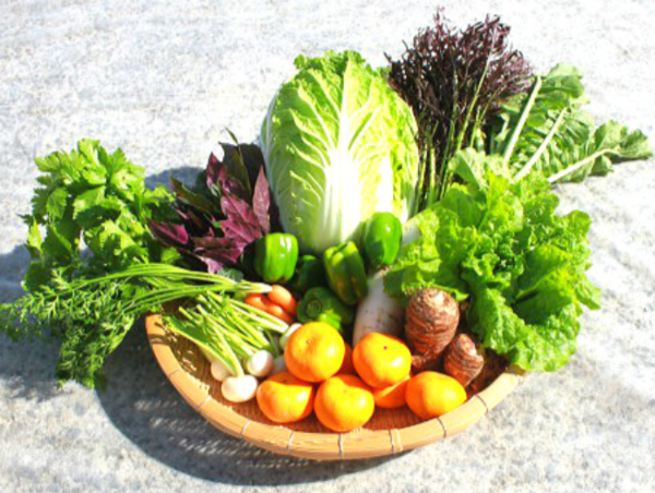 A17c9aaa61e80a1bf71d0d850af4e5baa9800bbd