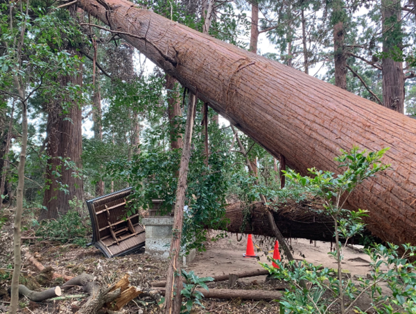 A17c9aaa61e80a1bf71d0d850af4e5baa9800bbd