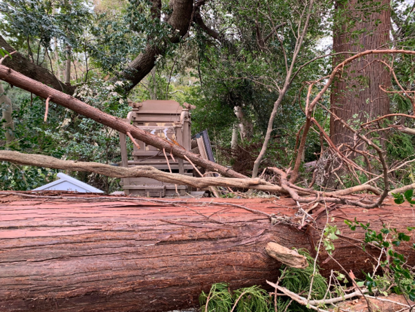 A17c9aaa61e80a1bf71d0d850af4e5baa9800bbd