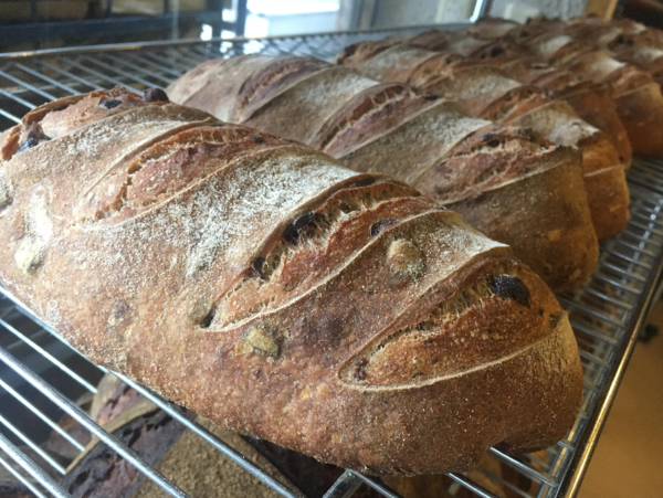 A17c9aaa61e80a1bf71d0d850af4e5baa9800bbd